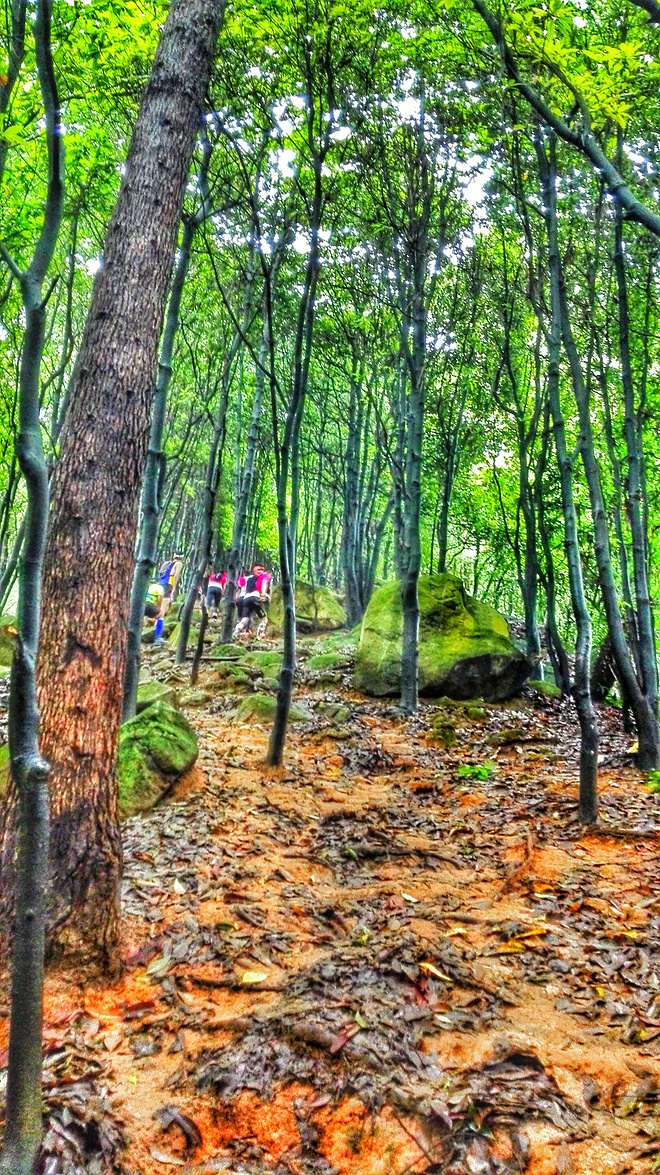 谢谢你们没有放弃我——记第一次筲箕窝越野之行