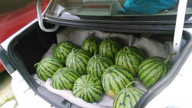 转角遇到爱 | 5.17嘉马民间豪华补给站背后的故事