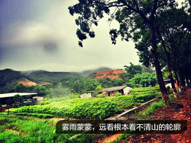 如没有那泥泞 其实你很美——记人生第一次龙洞越野赛