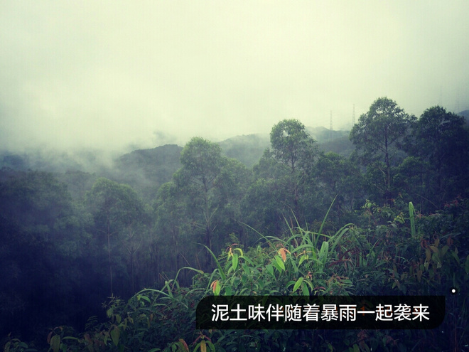 如没有那泥泞 其实你很美——记人生第一次龙洞越野赛