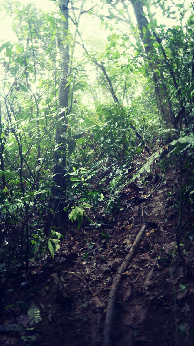 如没有那泥泞 其实你很美——记人生第一次龙洞越野赛