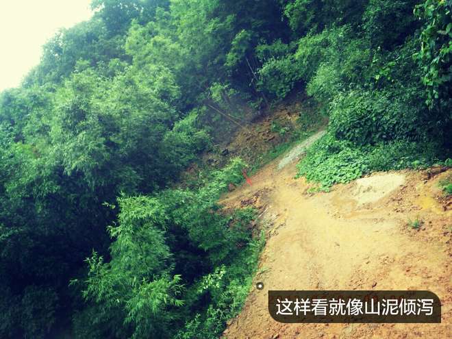 如没有那泥泞 其实你很美——记人生第一次龙洞越野赛