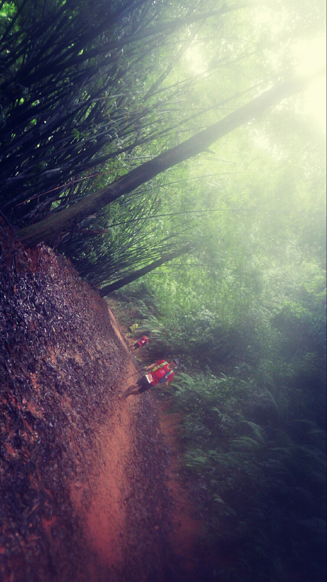 如没有那泥泞 其实你很美——记人生第一次龙洞越野赛