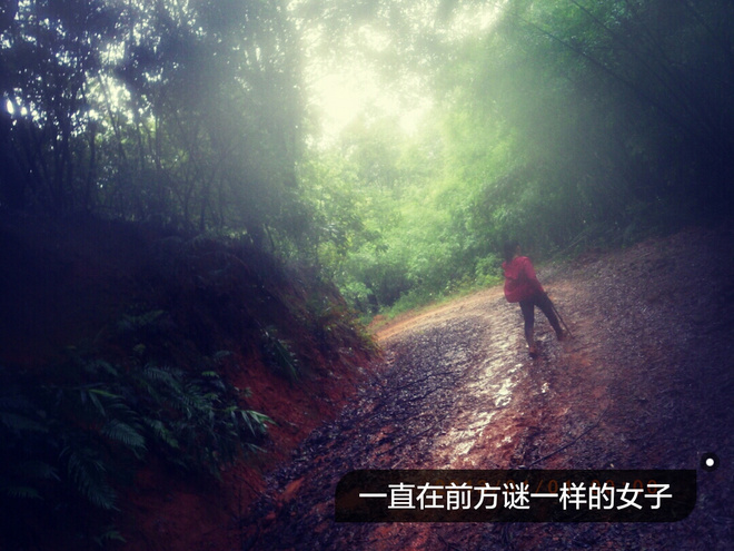 如没有那泥泞 其实你很美——记人生第一次龙洞越野赛