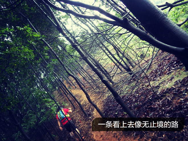 如没有那泥泞 其实你很美——记人生第一次龙洞越野赛