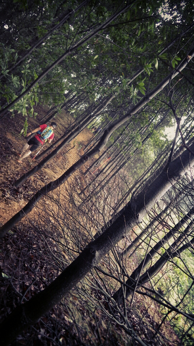 如没有那泥泞 其实你很美——记人生第一次龙洞越野赛