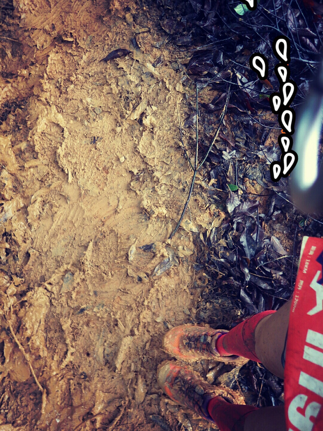 如没有那泥泞 其实你很美——记人生第一次龙洞越野赛