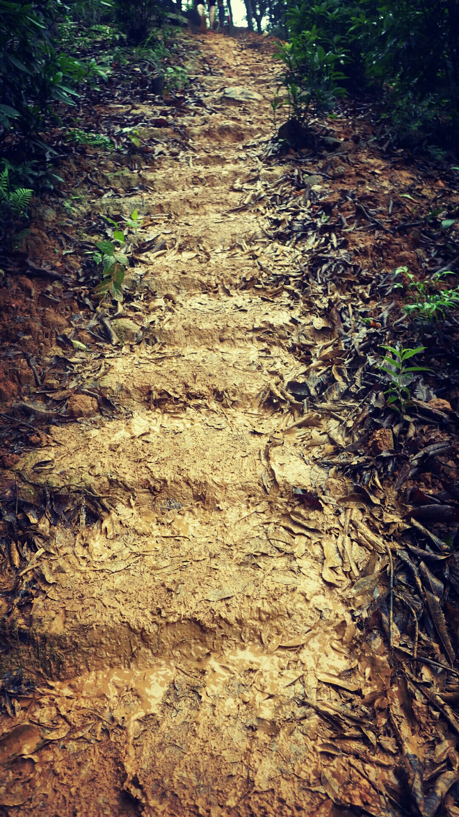 如没有那泥泞 其实你很美——记人生第一次龙洞越野赛