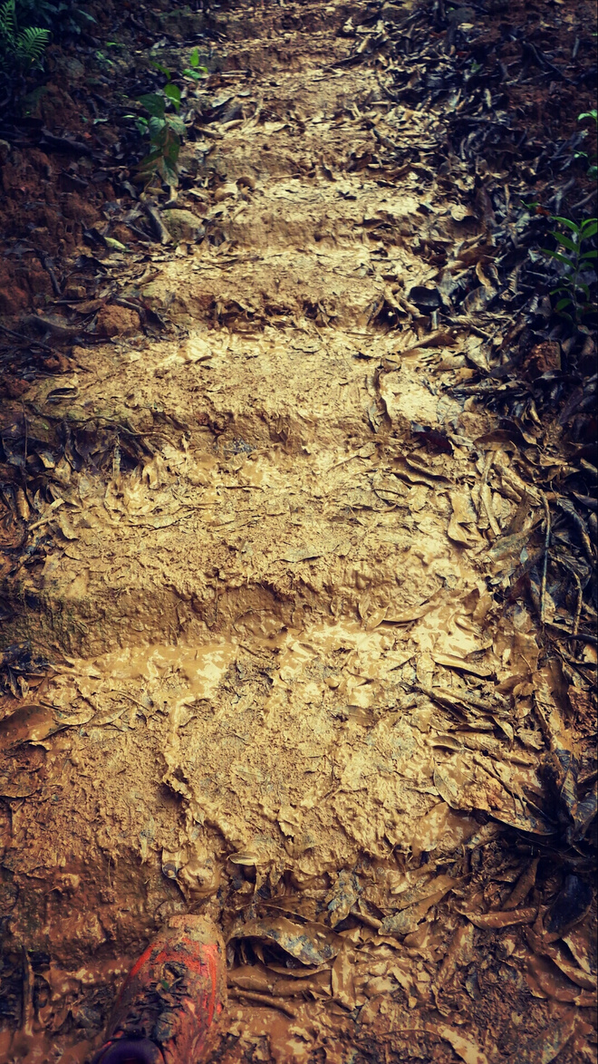 如没有那泥泞 其实你很美——记人生第一次龙洞越野赛