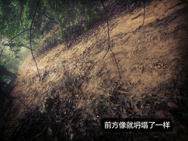 如没有那泥泞 其实你很美——记人生第一次龙洞越野赛