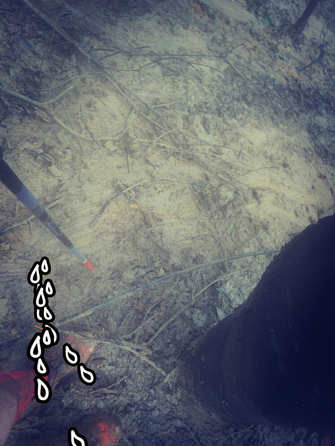 如没有那泥泞 其实你很美——记人生第一次龙洞越野赛