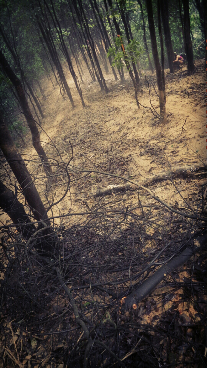 如没有那泥泞 其实你很美——记人生第一次龙洞越野赛