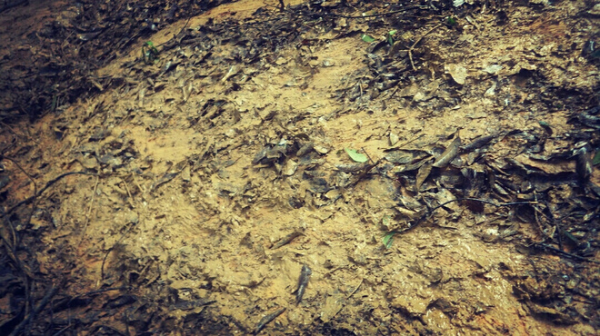 如没有那泥泞 其实你很美——记人生第一次龙洞越野赛