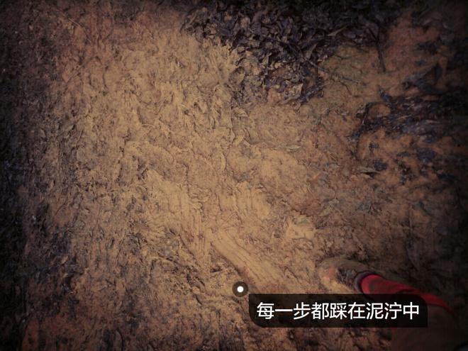 如没有那泥泞 其实你很美——记人生第一次龙洞越野赛