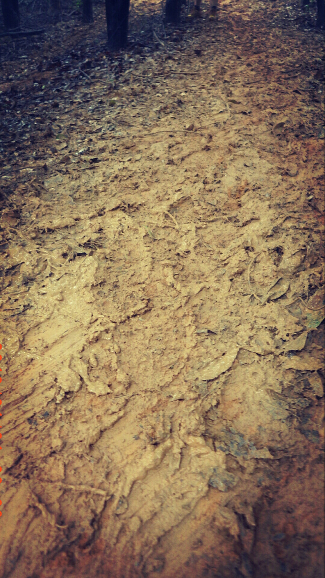 如没有那泥泞 其实你很美——记人生第一次龙洞越野赛