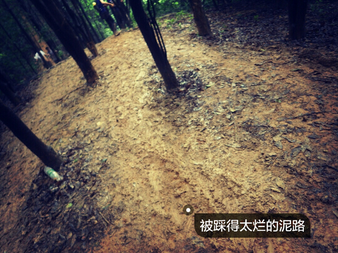 如没有那泥泞 其实你很美——记人生第一次龙洞越野赛