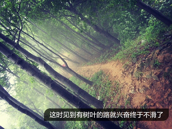 如没有那泥泞 其实你很美——记人生第一次龙洞越野赛