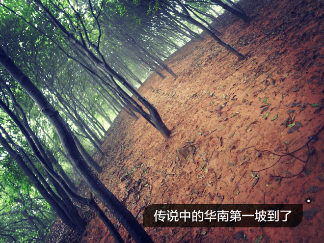 如没有那泥泞 其实你很美——记人生第一次龙洞越野赛