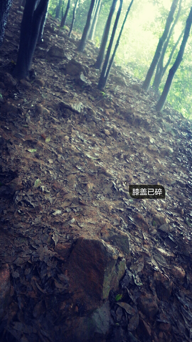 如没有那泥泞 其实你很美——记人生第一次龙洞越野赛