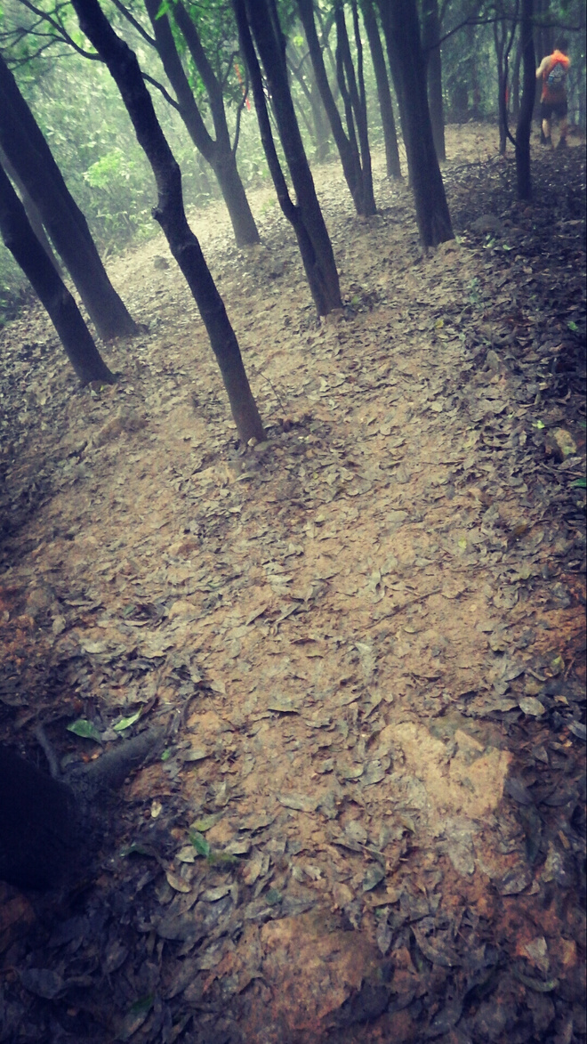 如没有那泥泞 其实你很美——记人生第一次龙洞越野赛