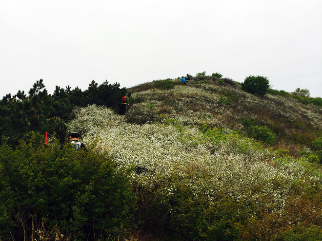 50KM，跑一场真正的越野——2015年北京TNF100