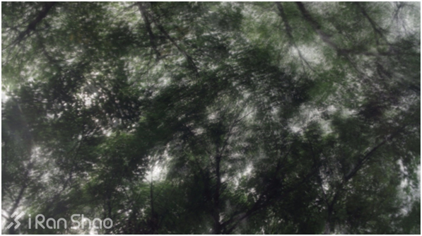 不是鸡汤 | 不得不说跑步不是不无聊的