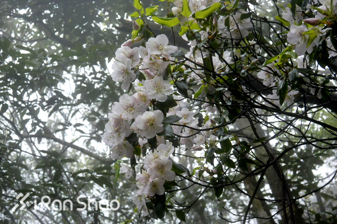 三清山 | 在1800米的长空栈道越野是怎样一种体验?