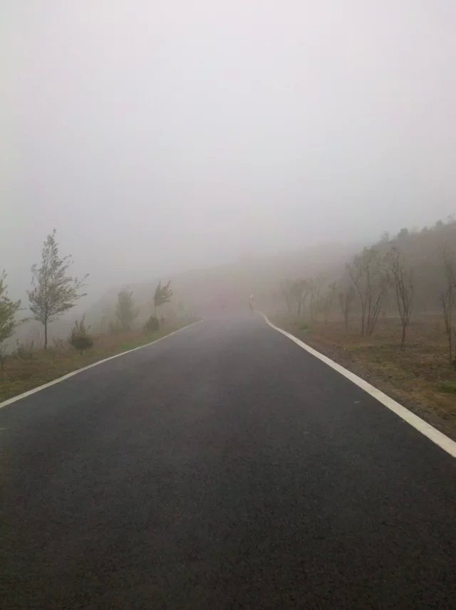 2015 TNF50——我不是一個人在跑步