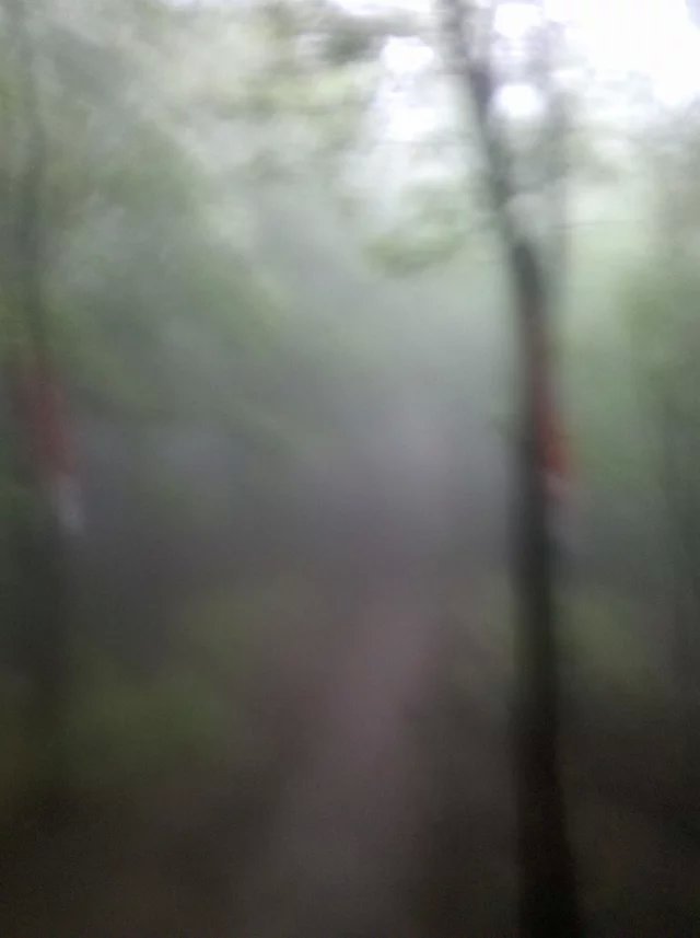 2015 TNF50——我不是一個人在跑步