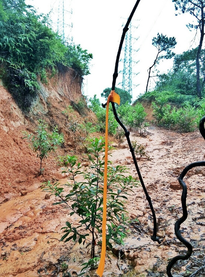 如没有那泥泞 其实你很美——记人生第一次龙洞越野赛