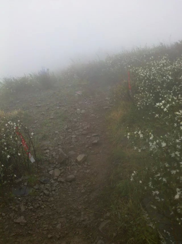 2015 TNF50——我不是一個人在跑步