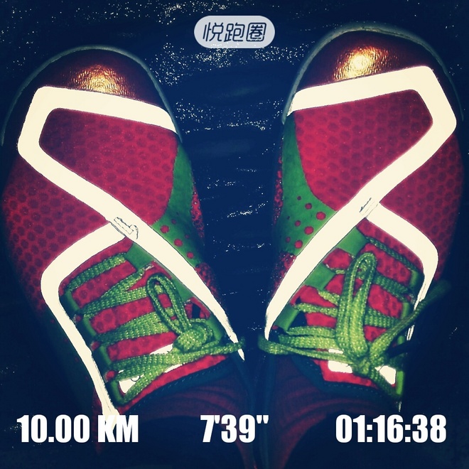 装备众测 | 回到最初 让脚掌抚吻大地——SKORA PHASE深度测评