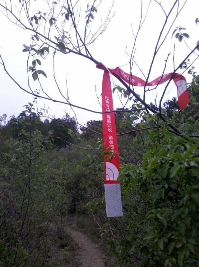 2015 TNF50——我不是一個人在跑步