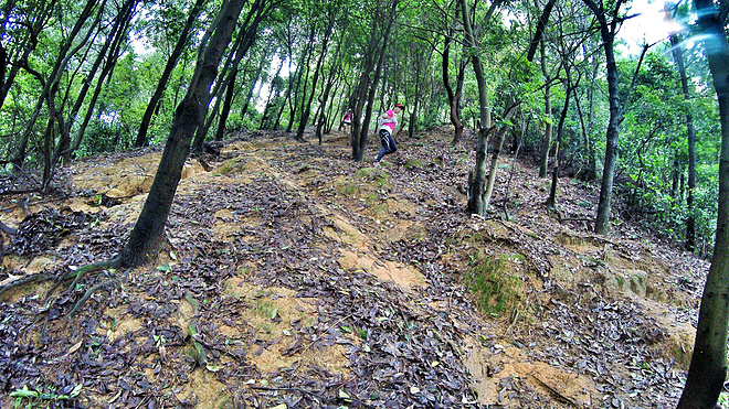 谢谢你们没有放弃我——记第一次筲箕窝越野之行