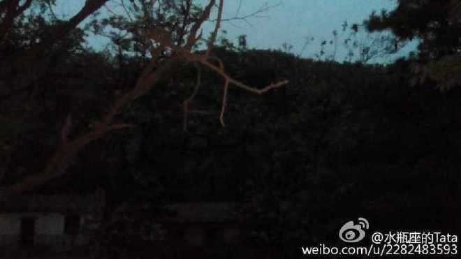 Tata's越野初体验——记我的2015TNF北京国际越野挑战赛