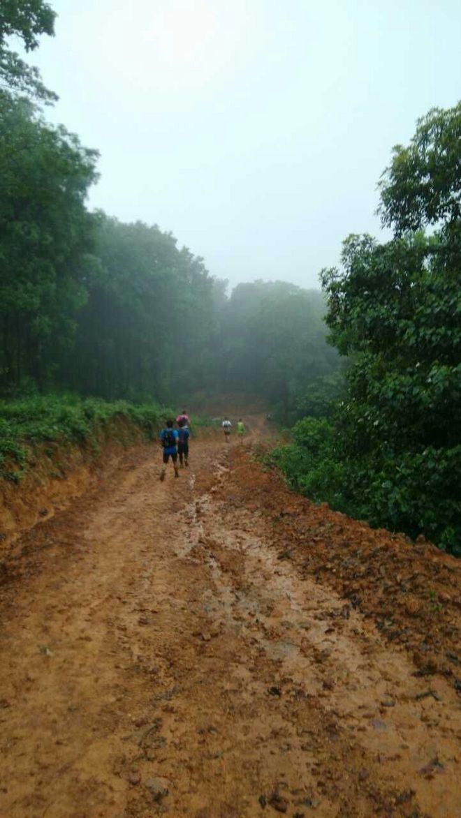 如没有那泥泞 其实你很美——记人生第一次龙洞越野赛