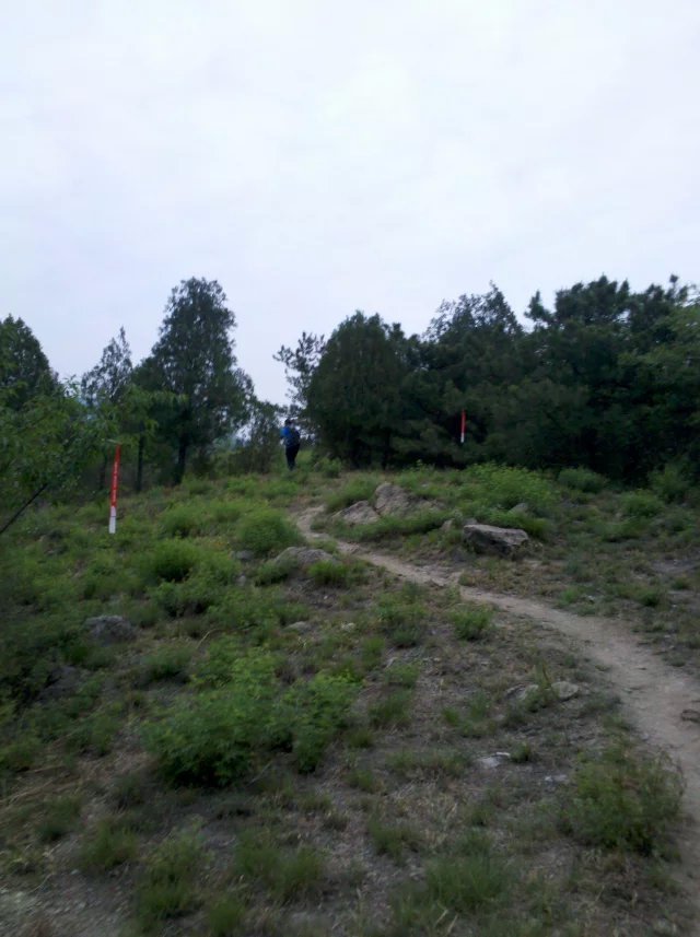 2015 TNF50——我不是一個人在跑步