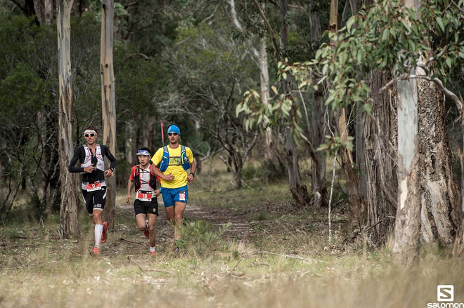 我的澳洲TNF100总结