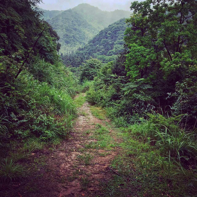 25KM杭州·追狼初探——泉眼相会