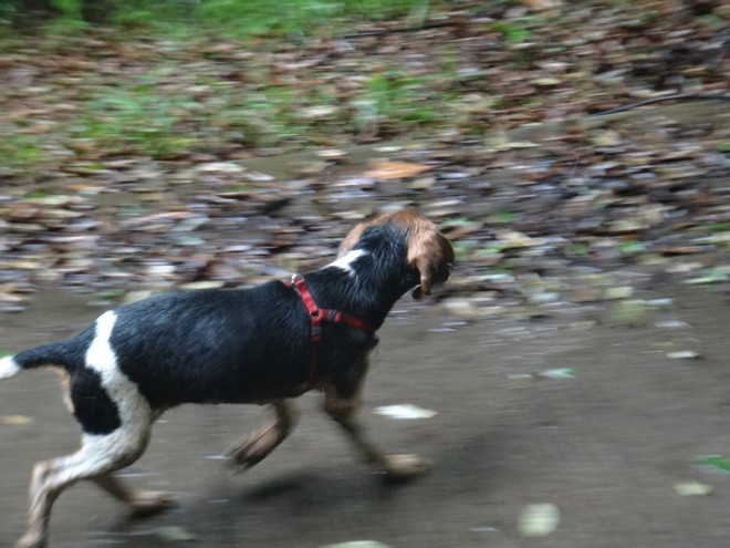 游玩过总有惊喜 只因沿路友你——记友友领队挑战赛