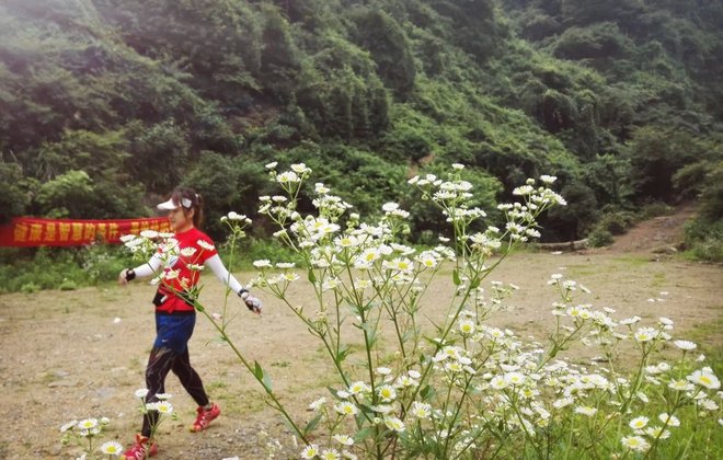 这年的端午，我在山里追狼，你在哪儿？