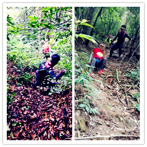 【赛道体验】 披荆斩棘目如炬，西南野，追天狼 ----奔团大腿西行追狼