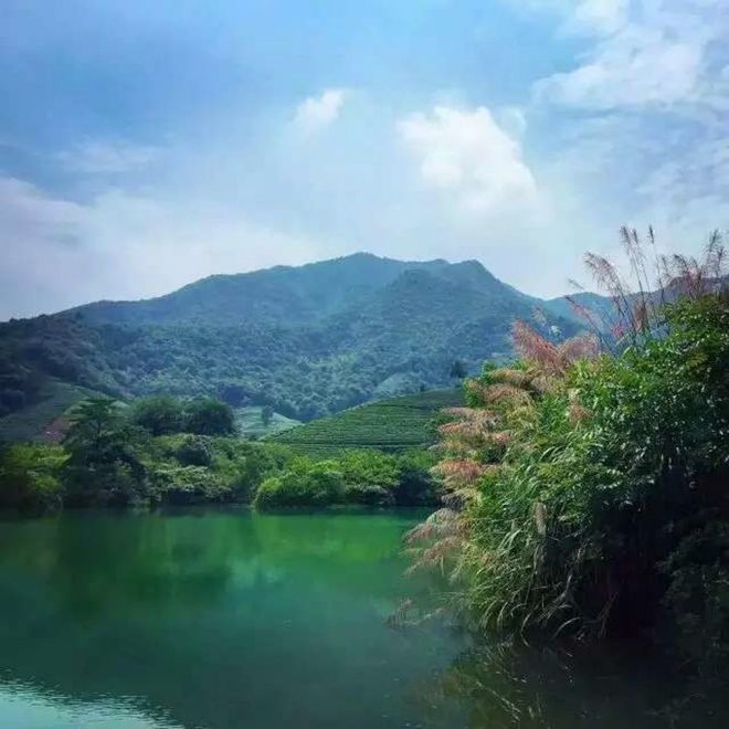 【赛道体验】 披荆斩棘目如炬，西南野，追天狼 ----奔团大腿西行追狼