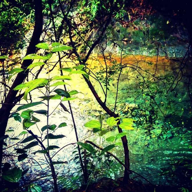 【赛道体验】 披荆斩棘目如炬，西南野，追天狼 ----奔团大腿西行追狼