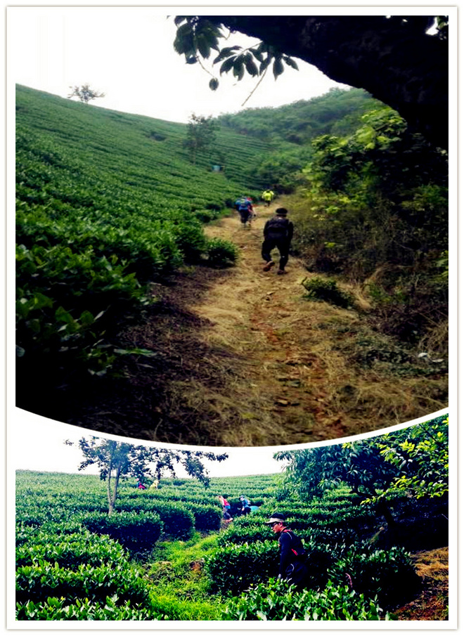 【赛道体验】 披荆斩棘目如炬，西南野，追天狼 ----奔团大腿西行追狼