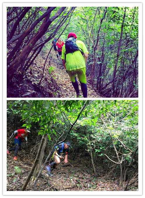 【赛道体验】 披荆斩棘目如炬，西南野，追天狼 ----奔团大腿西行追狼