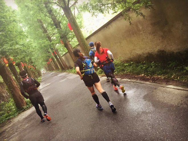 这年的端午，我在山里追狼，你在哪儿？