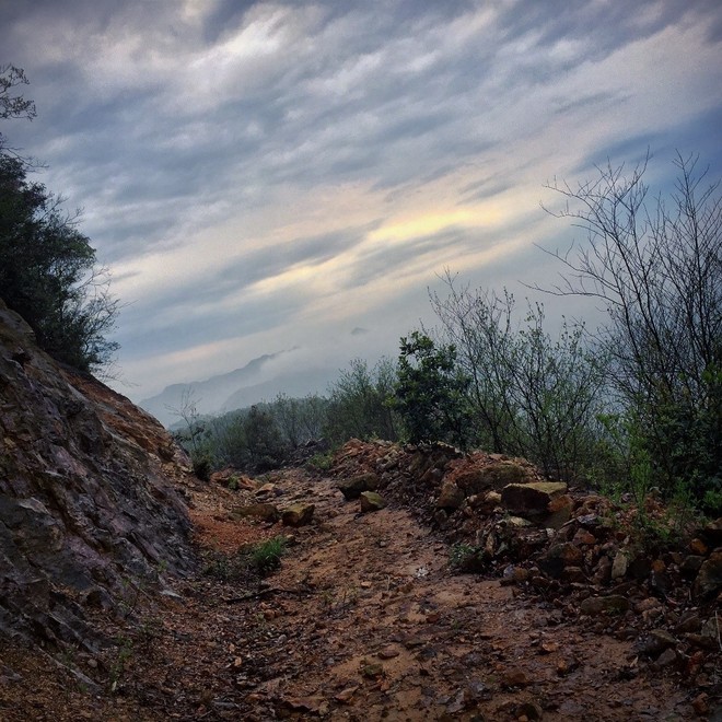 这年的端午，我在山里追狼，你在哪儿？