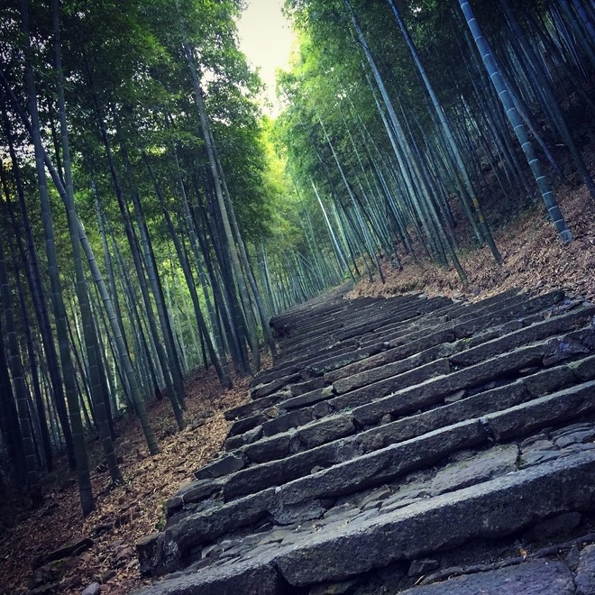 这年的端午，我在山里追狼，你在哪儿？