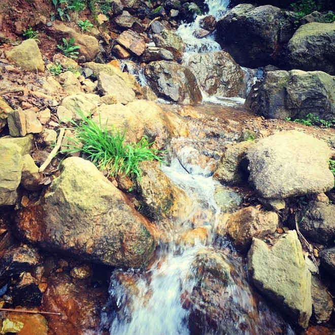 这年的端午，我在山里追狼，你在哪儿？